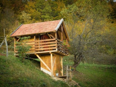 Robin's Hood Robin's Hood