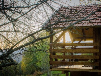 Robin's Hood Robin's Hood