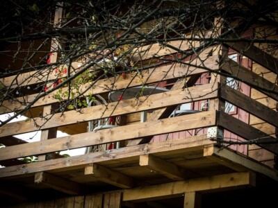 Robin's Hood Robin's Hood