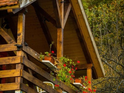 Robin's Hood Robin's Hood