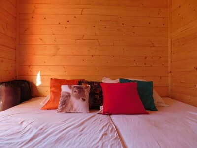 Robin's Hood Robin's Hood