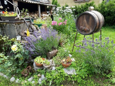 Robinzonski turizam Hrib