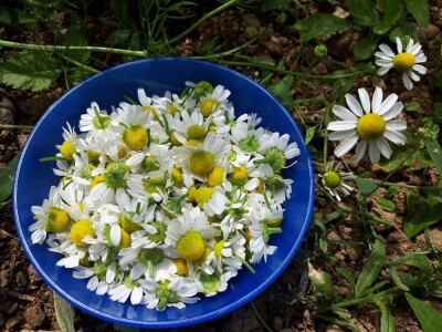 Robinzonski turizam Hrib