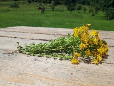 Robinzonski turizam Hrib