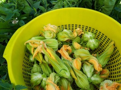 Robinzonski turizam Hrib