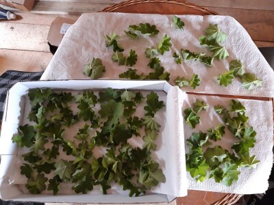 Robinzonski turizam Hrib