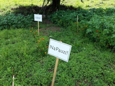 Robinzonski turizam Hrib