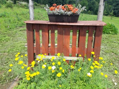 Robinzonski turizam Hrib