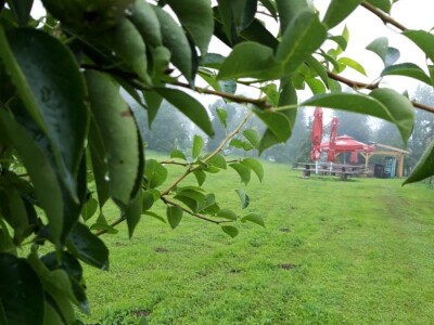 Robinzonski turizam Hrib