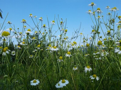 Robinzonski turizam Hrib
