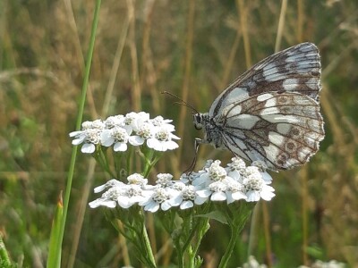 Robinzonski turizam Hrib