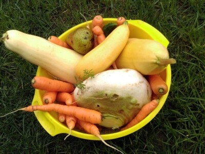 Robinzonski turizam Hrib