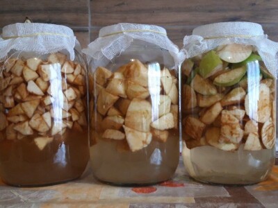 Robinzonski turizam Hrib