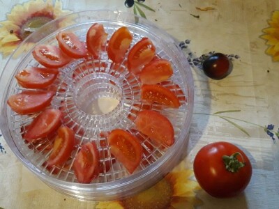 Robinzonski turizam Hrib