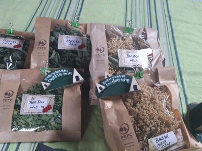 Robinzonski turizam Hrib