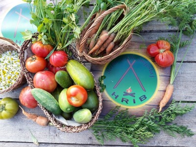 Robinzonski turizam Hrib