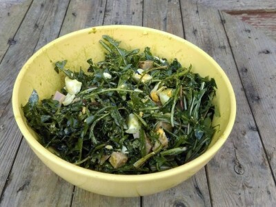 Robinzonski turizam Hrib