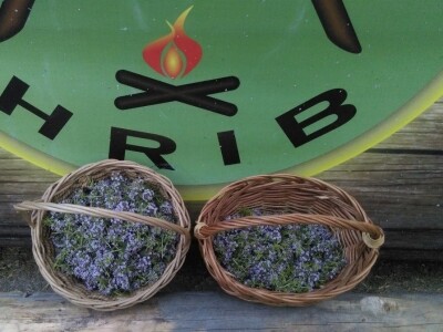 Robinzonski turizam Hrib