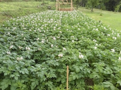 Robinzonski turizam Hrib