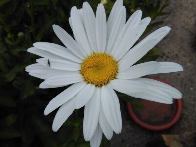 Robinzonski turizam Hrib