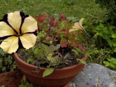 Robinzonski turizam Hrib