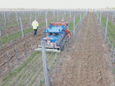 Robot koji obavlja petnaest poslova u zasadu, foto: M. Lazarević