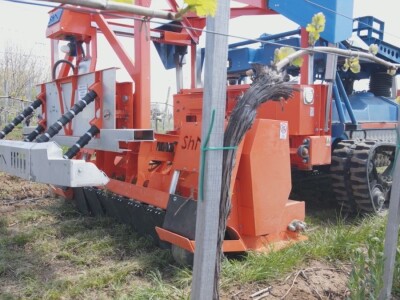 Robot koji obavlja petnaest poslova u zasadu, foto: M. Lazarević