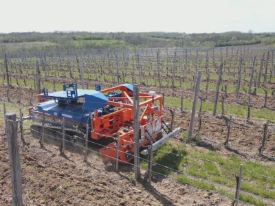 Robot koji obavlja petnaest poslova u zasadu, foto: M. Lazarević