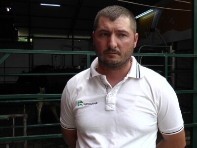 Roboti za mužu krava