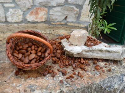 Seoski turizam kod Ante Roce