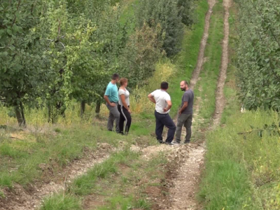 Rod jabuke u kraljevačkim selima