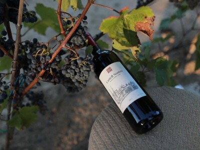 Rođaci Nebojša Milovanović i Boban Kovačić otvorili vlastitu vinariju: Vina sa crvenog brijega oživljavaju banjalučke legende