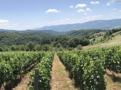 Rođaci Nebojša Milovanović i Boban Kovačić otvorili vlastitu vinariju: Vina sa crvenog brijega oživljavaju banjalučke legende