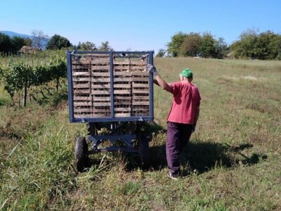 Rođaci Nebojša Milovanović i Boban Kovačić otvorili vlastitu vinariju: Vina sa crvenog brijega oživljavaju banjalučke legende