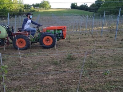 Rođaci Nebojša Milovanović i Boban Kovačić otvorili vlastitu vinariju: Vina sa crvenog brijega oživljavaju banjalučke legende