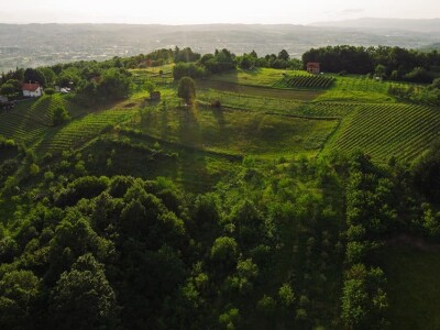 Rođaci Nebojša Milovanović i Boban Kovačić otvorili vlastitu vinariju: Vina sa crvenog brijega oživljavaju banjalučke legende