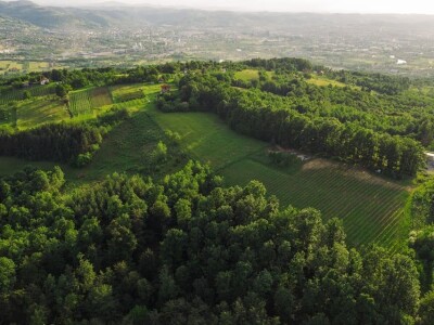 Rođaci Nebojša Milovanović i Boban Kovačić otvorili vlastitu vinariju: Vina sa crvenog brijega oživljavaju banjalučke legende