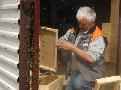 Antun Lukičević veliki zaljubljenik u pčelarstvo