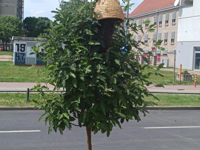 Rojenje pčela