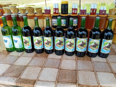 Romanijski med - Vladimir Marjanac Ferdin