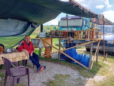 Romanijski med - Vladimir Marjanac Ferdin