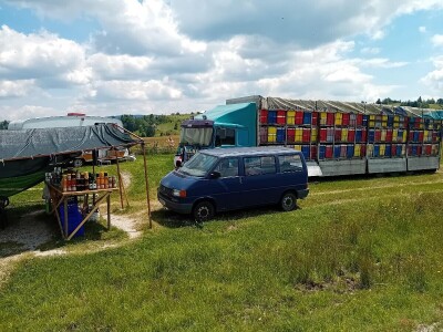 Romanijski med - Vladimir Marjanac Ferdin