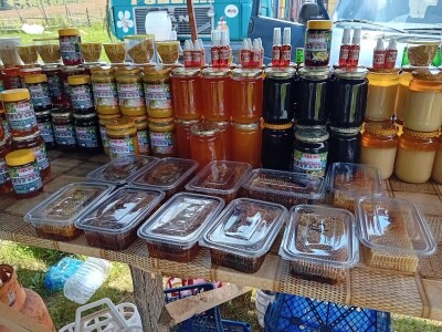 Romanijski med - Vladimir Marjanac Ferdin