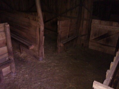 Romanovska rasa - Odlični uslovi smeštaja