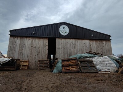 Romanovske ovce Nebojše Dragića