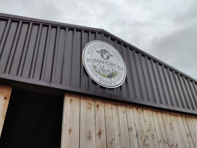 Romanovske ovce Nebojše Dragića