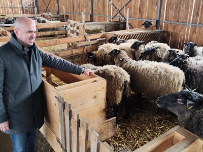 Romanovske ovce Nebojše Dragića