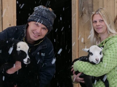 Romanovske ovce poboljšale život porodice Šemić iz Kaknja