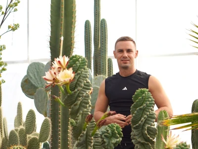 Royal cactus garden