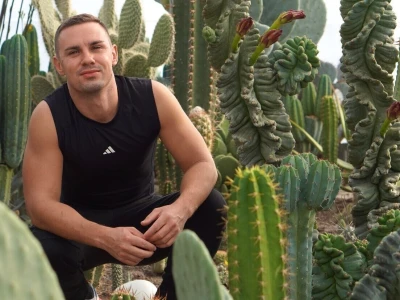 Royal cactus garden